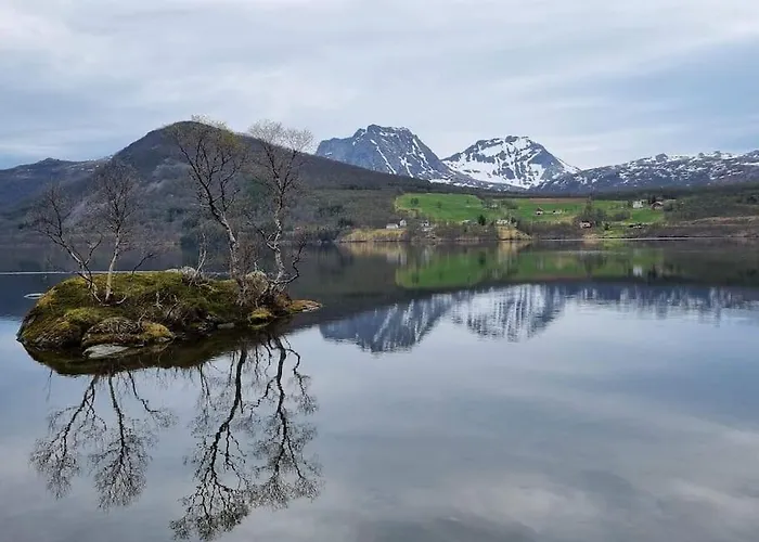 Olaheim * Olaheimen